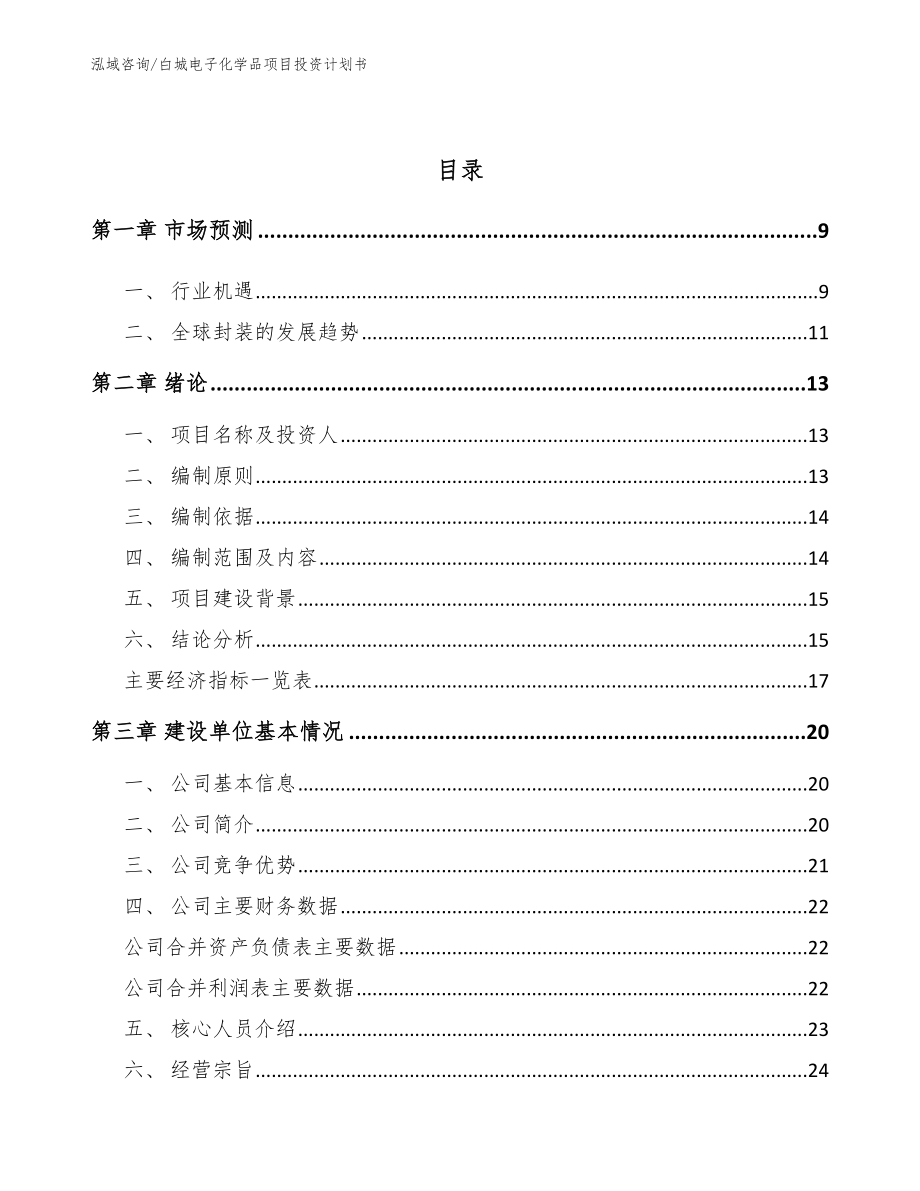 白城电子化学品项目投资计划书（范文）_第2页