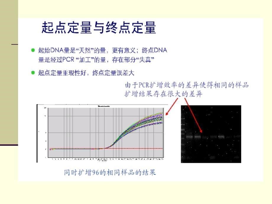 实时荧光定量PCR技术的原理及应用_第5页