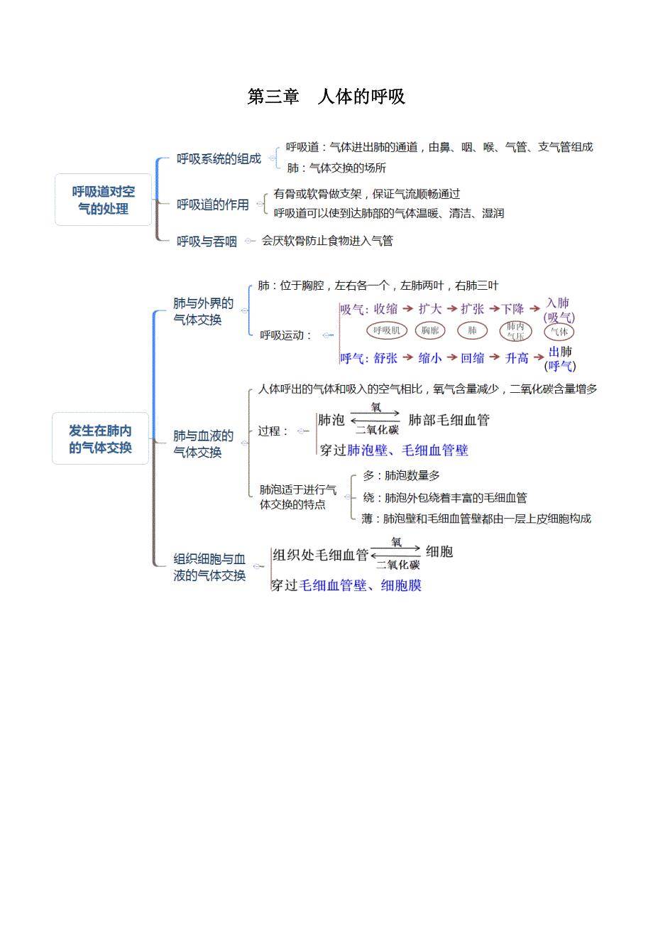 人教版七年级生物下册考点(思维导图版_第3页