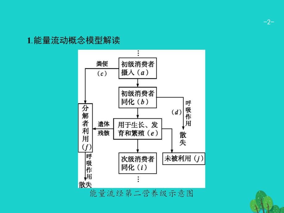 新课标高考生物一轮复习高考提分微课7课件共13页_第2页