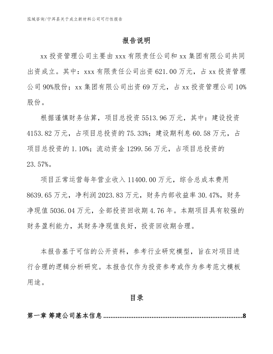 宁洱县关于成立新材料公司可行性报告_模板范文_第2页