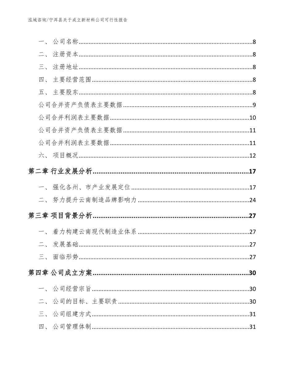 宁洱县关于成立新材料公司可行性报告_模板范文_第3页