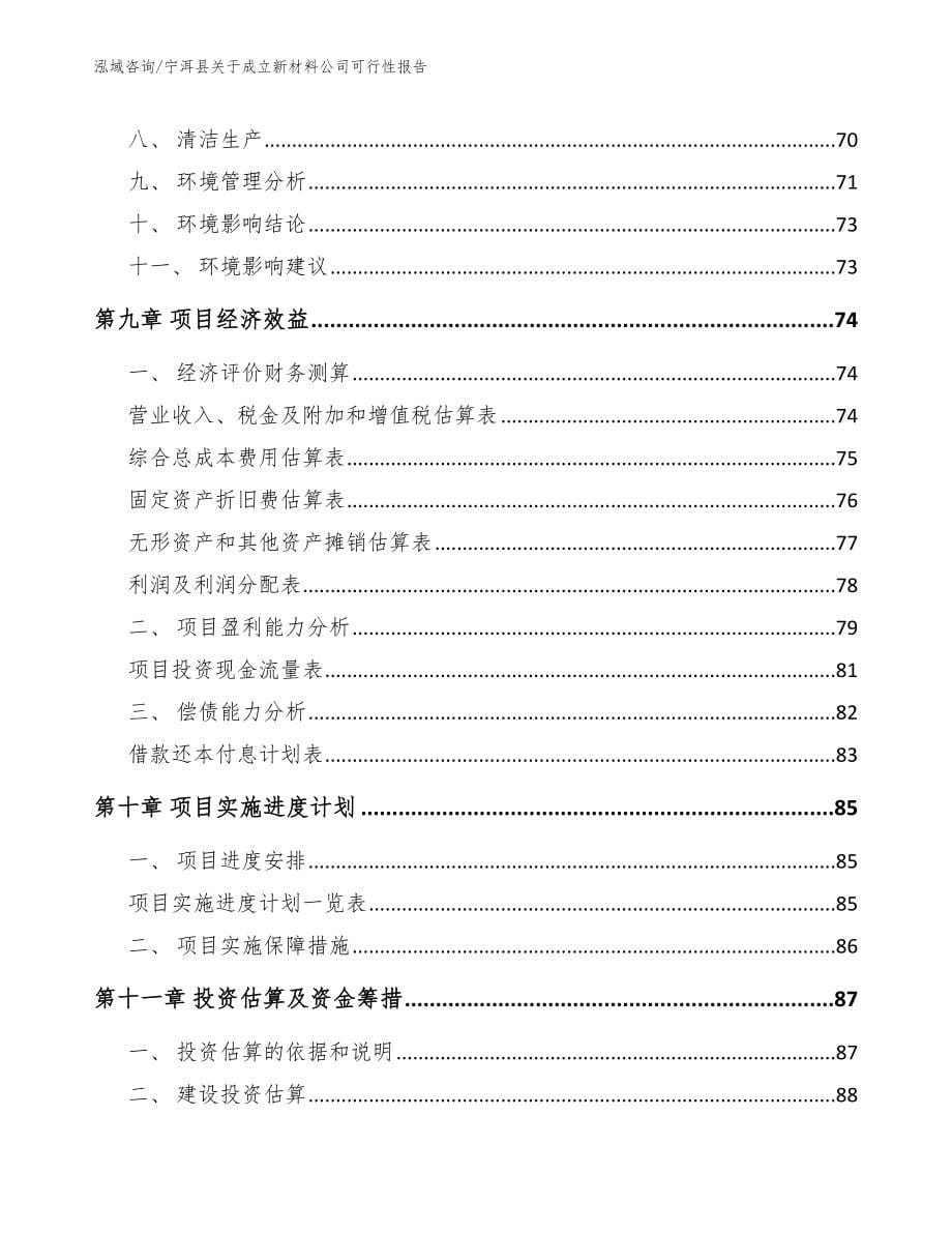 宁洱县关于成立新材料公司可行性报告_模板范文_第5页