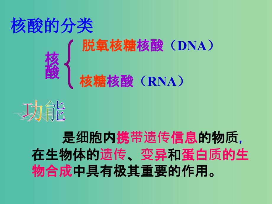 高中生物《23 遗传信息的携带者 核酸》课件 新人教版必修1.ppt_第4页