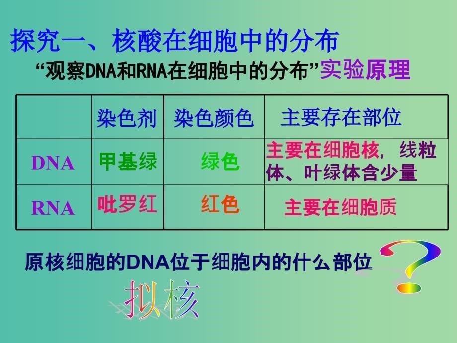 高中生物《23 遗传信息的携带者 核酸》课件 新人教版必修1.ppt_第5页