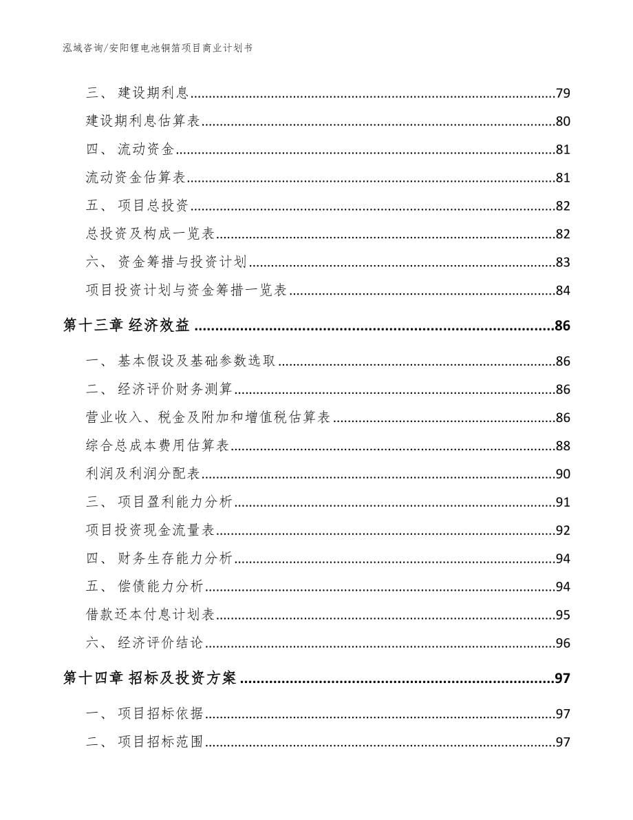 安阳锂电池铜箔项目商业计划书（范文参考）_第5页