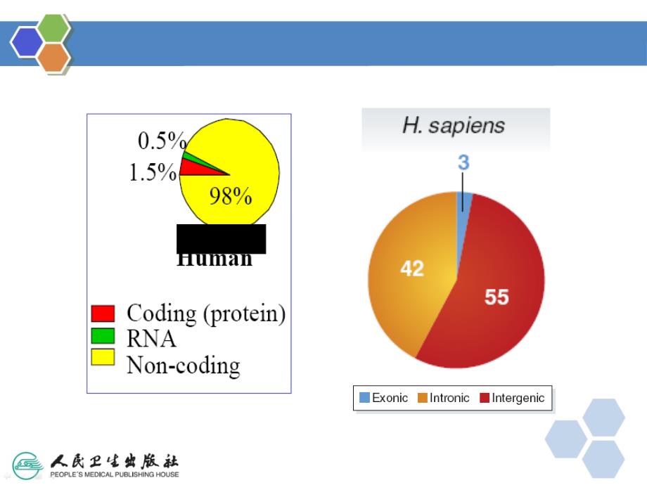 生物信息学第二版非编码RNA与复杂疾病_第4页