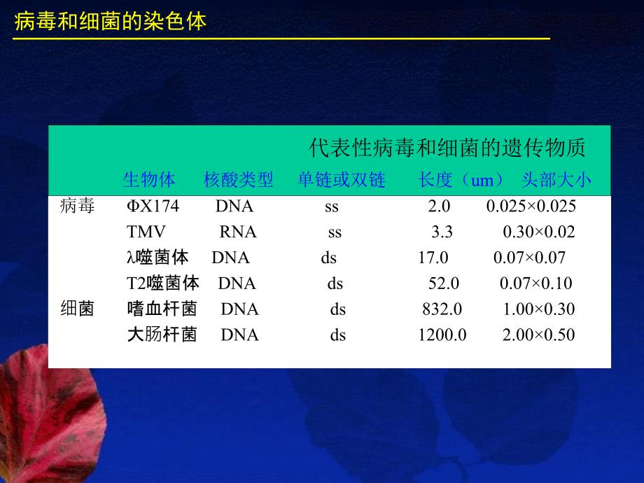 染色体结构和DNA序列组织_第3页