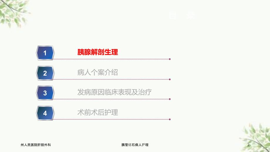 胰管结石病人护理课件_第2页