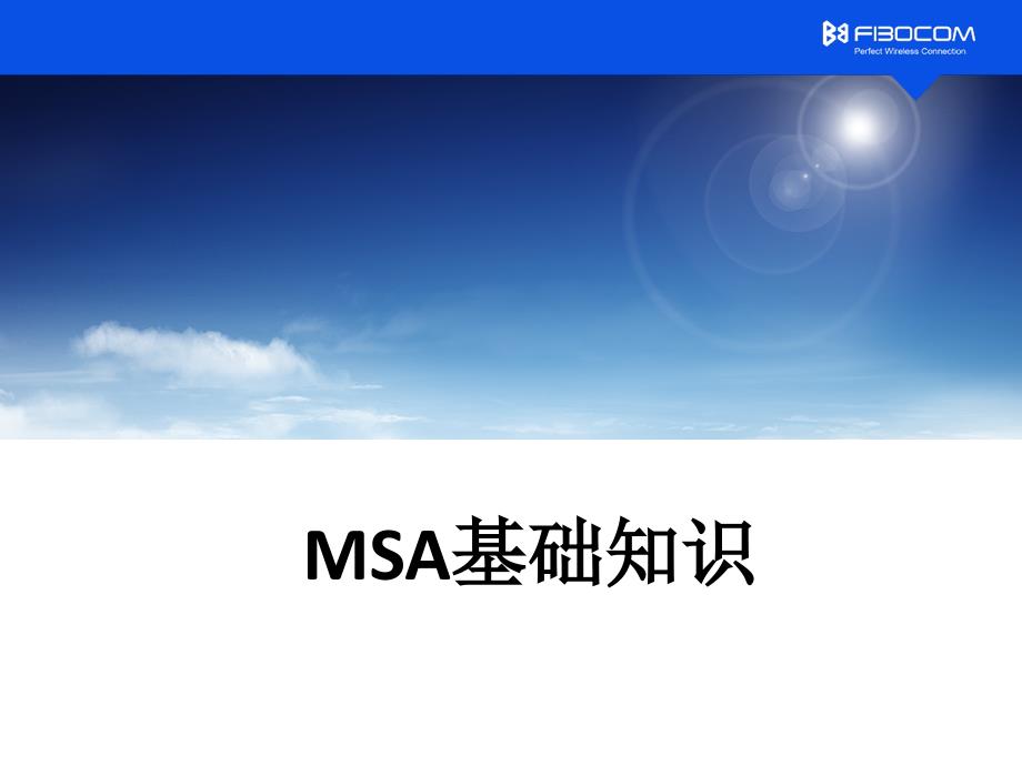 MSA基础知识PPT课件_第1页