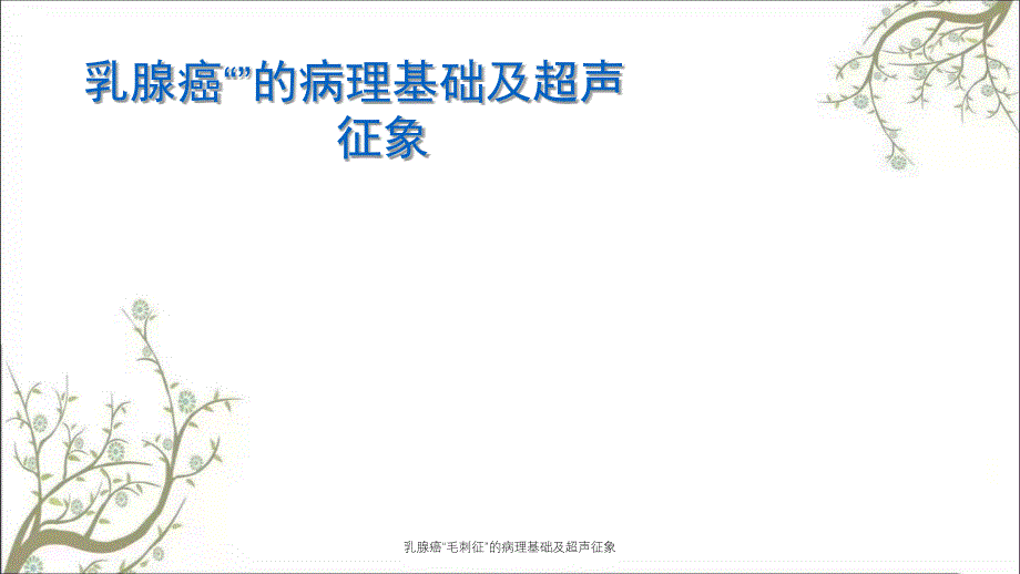 乳腺癌毛刺征的病理基础及超声征象_第1页