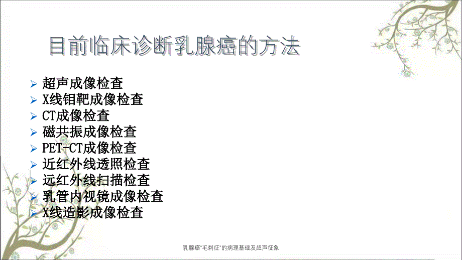 乳腺癌毛刺征的病理基础及超声征象_第2页