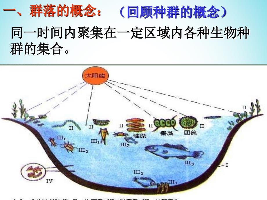 云南孰山彝族自治县高中生物第四章种群和群落4.3群落的结构课件新人教版必修3_第2页