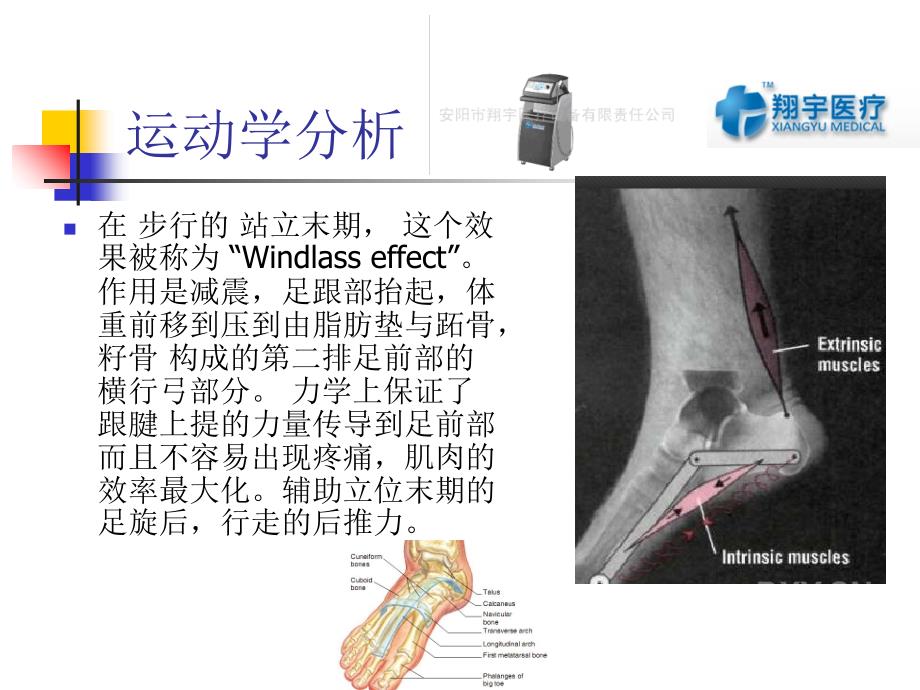 体外冲击波治疗足底筋膜炎临床疗效分析_第5页