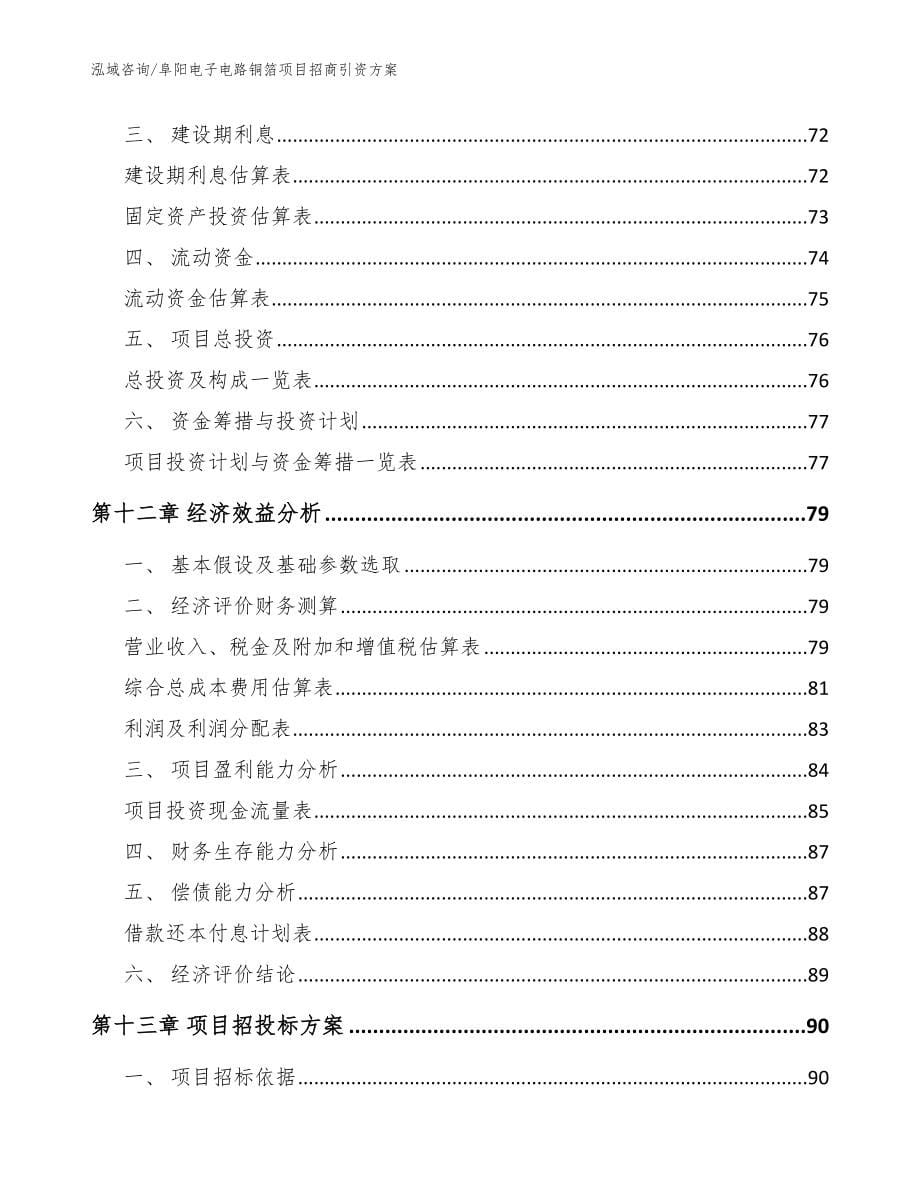 阜阳电子电路铜箔项目招商引资方案【参考模板】_第5页