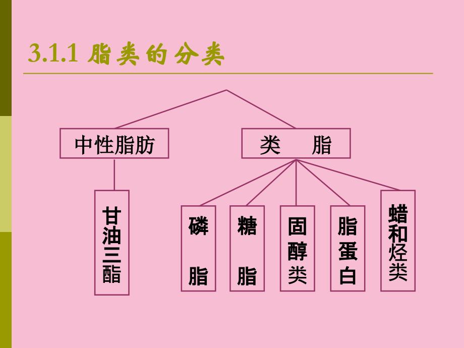 食品化学脂肪2ppt课件_第2页