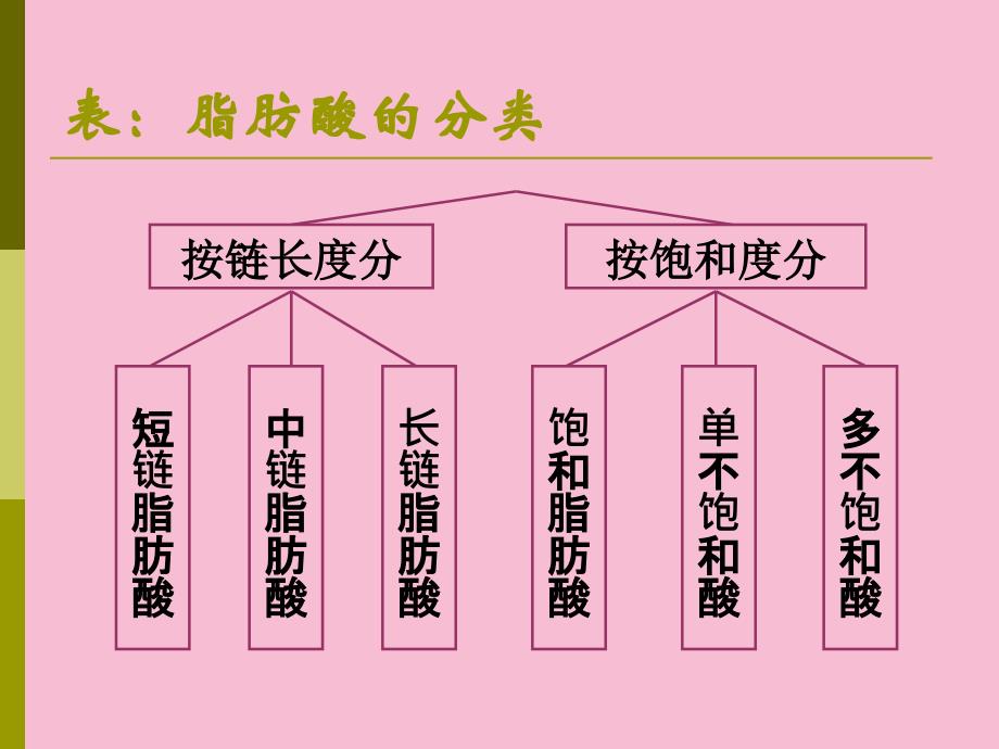 食品化学脂肪2ppt课件_第3页