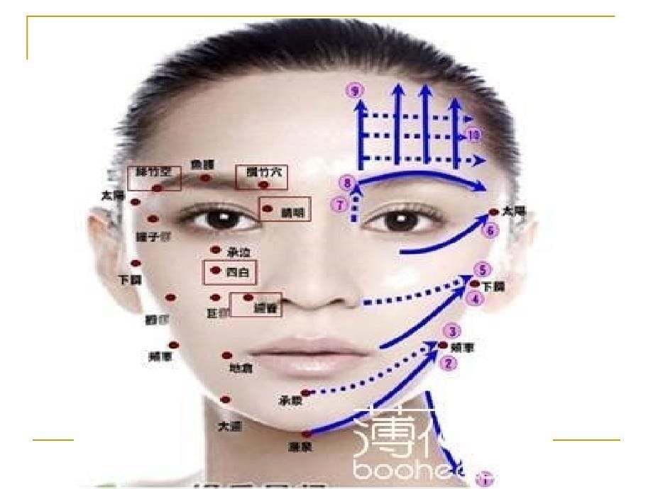 《面部的基本穴位》PPT课件.ppt_第5页