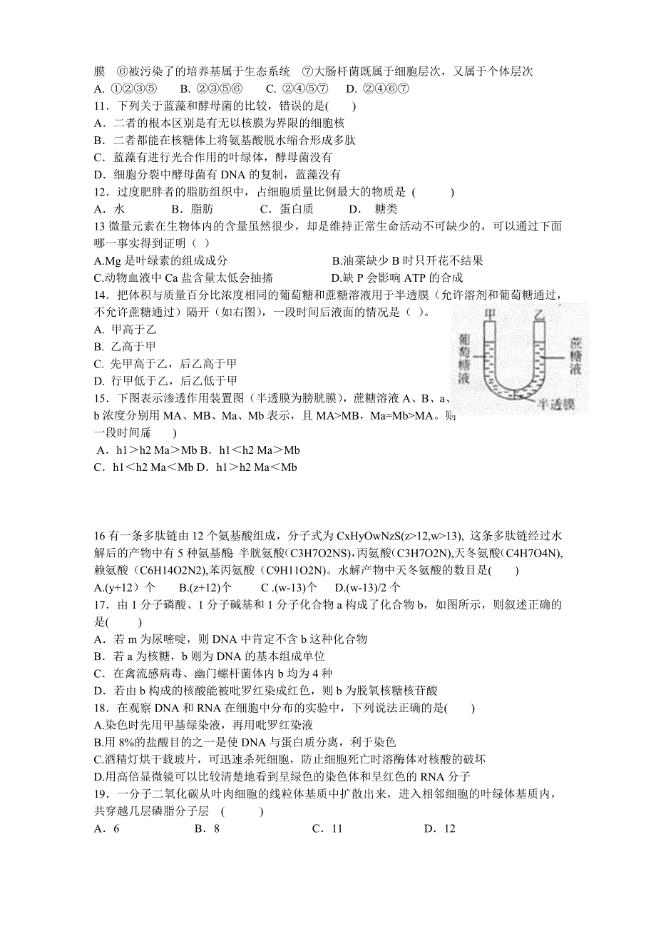 高一生物必修一期中试题.doc_第2页