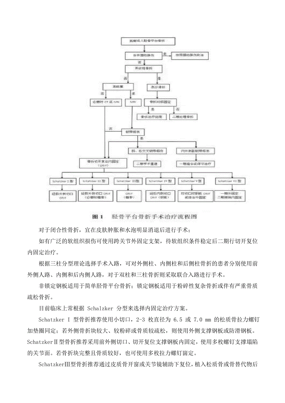 胫骨平台骨折分型及治疗原则.doc_第2页