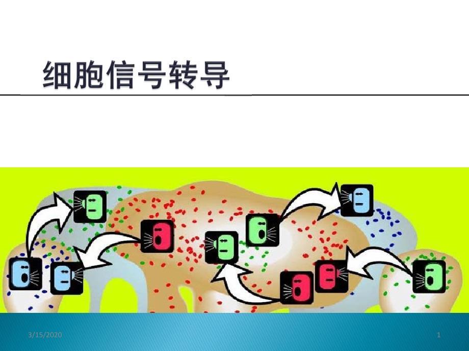 细胞信号转导ppt参考课件_第1页