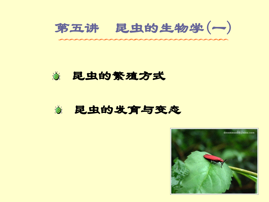 昆虫生物学1_第1页