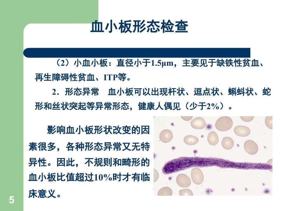 （精选课件）血小板计数_第5页