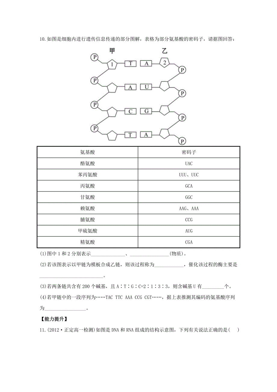 （导学讲连通）2013高中生物 第4章 基因的表达分层达标训练精品练习（含解析）新人教版必修2_第3页