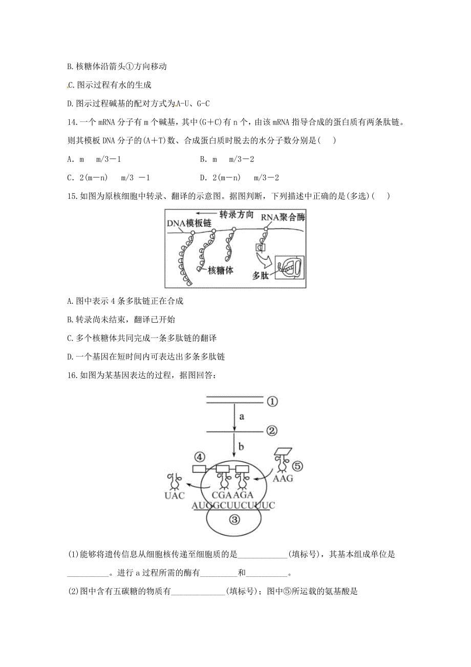 （导学讲连通）2013高中生物 第4章 基因的表达分层达标训练精品练习（含解析）新人教版必修2_第5页