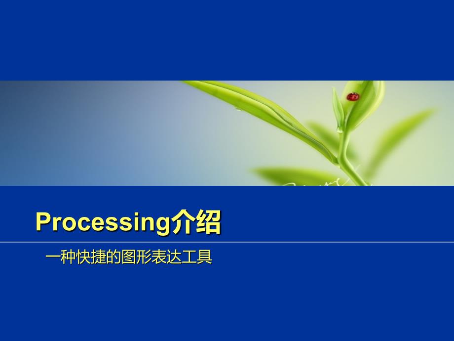 Processing介绍_第1页