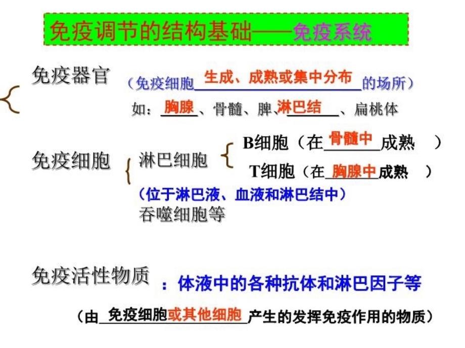 免疫调节一轮复习整理教学内容_第4页