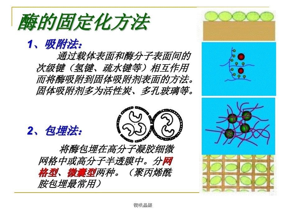 锲哄畾鍖课件_第5页