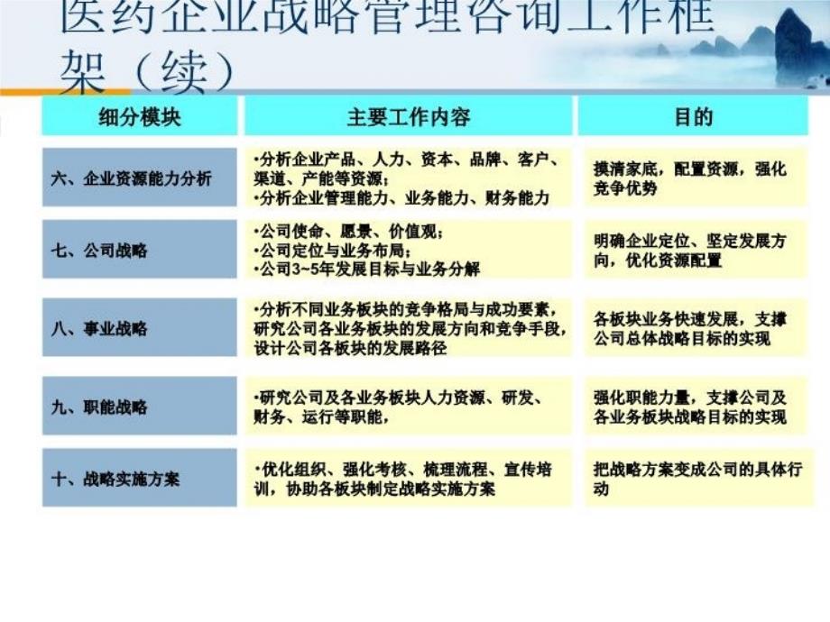 最新医药企业战略制定模型幻灯片_第4页