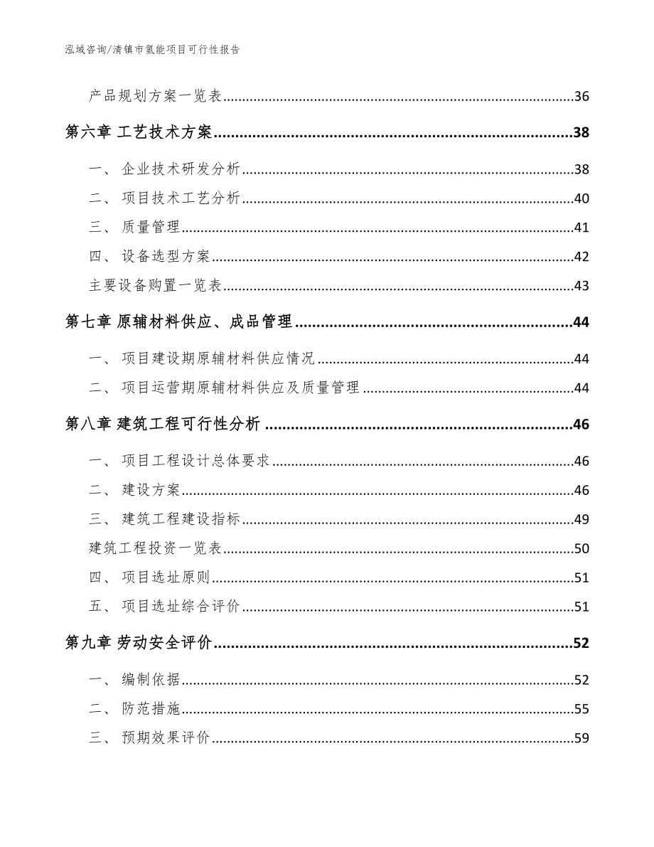 清镇市氢能项目可行性报告【参考模板】_第5页