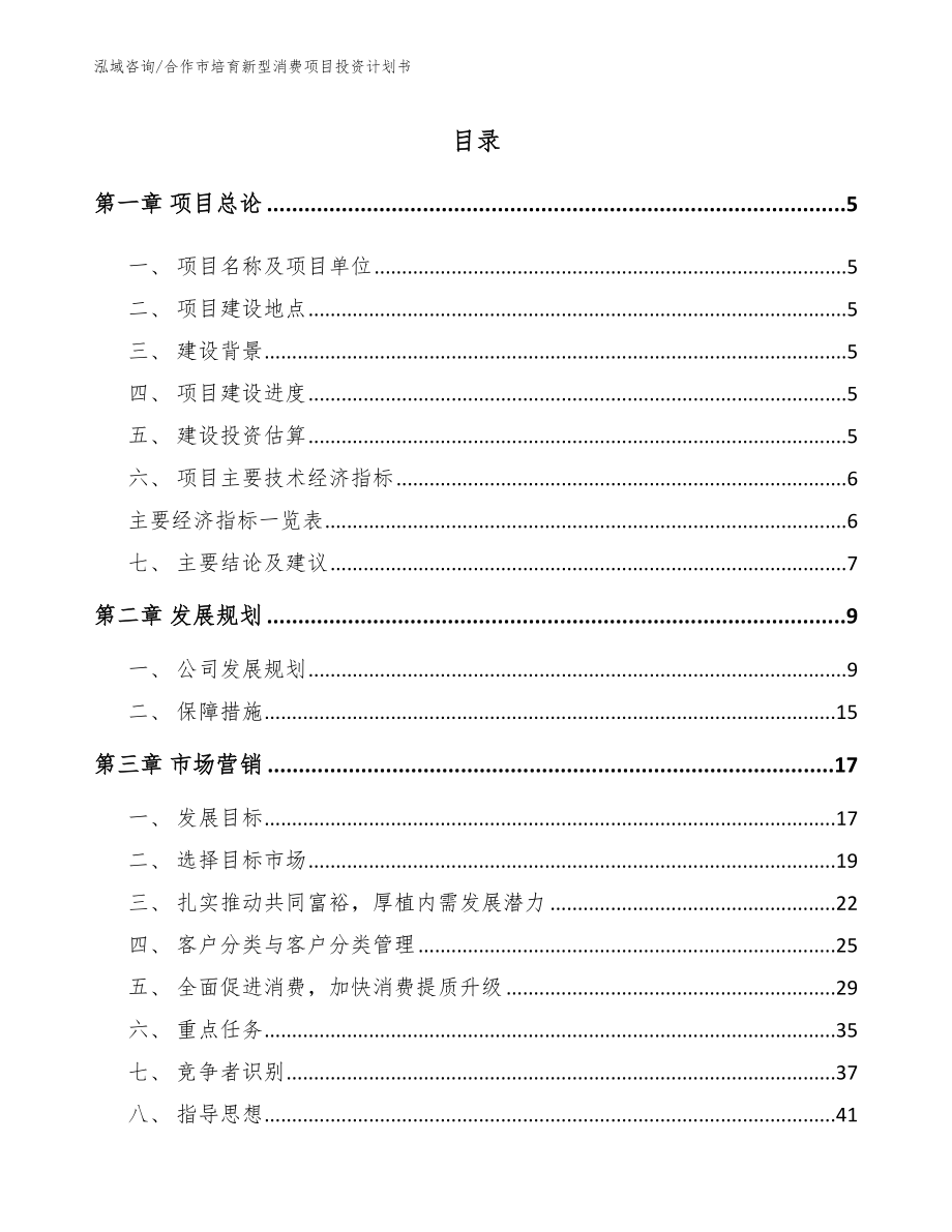 合作市培育新型消费项目投资计划书_第1页