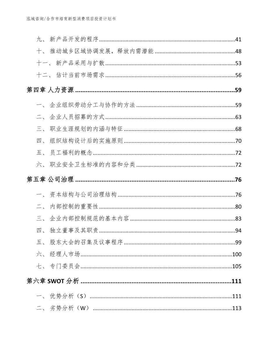 合作市培育新型消费项目投资计划书_第2页