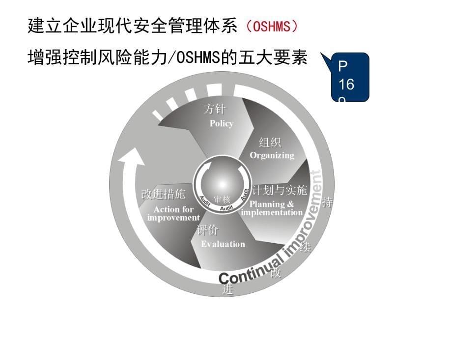 职业安全管理体系安全主任彭林_第5页