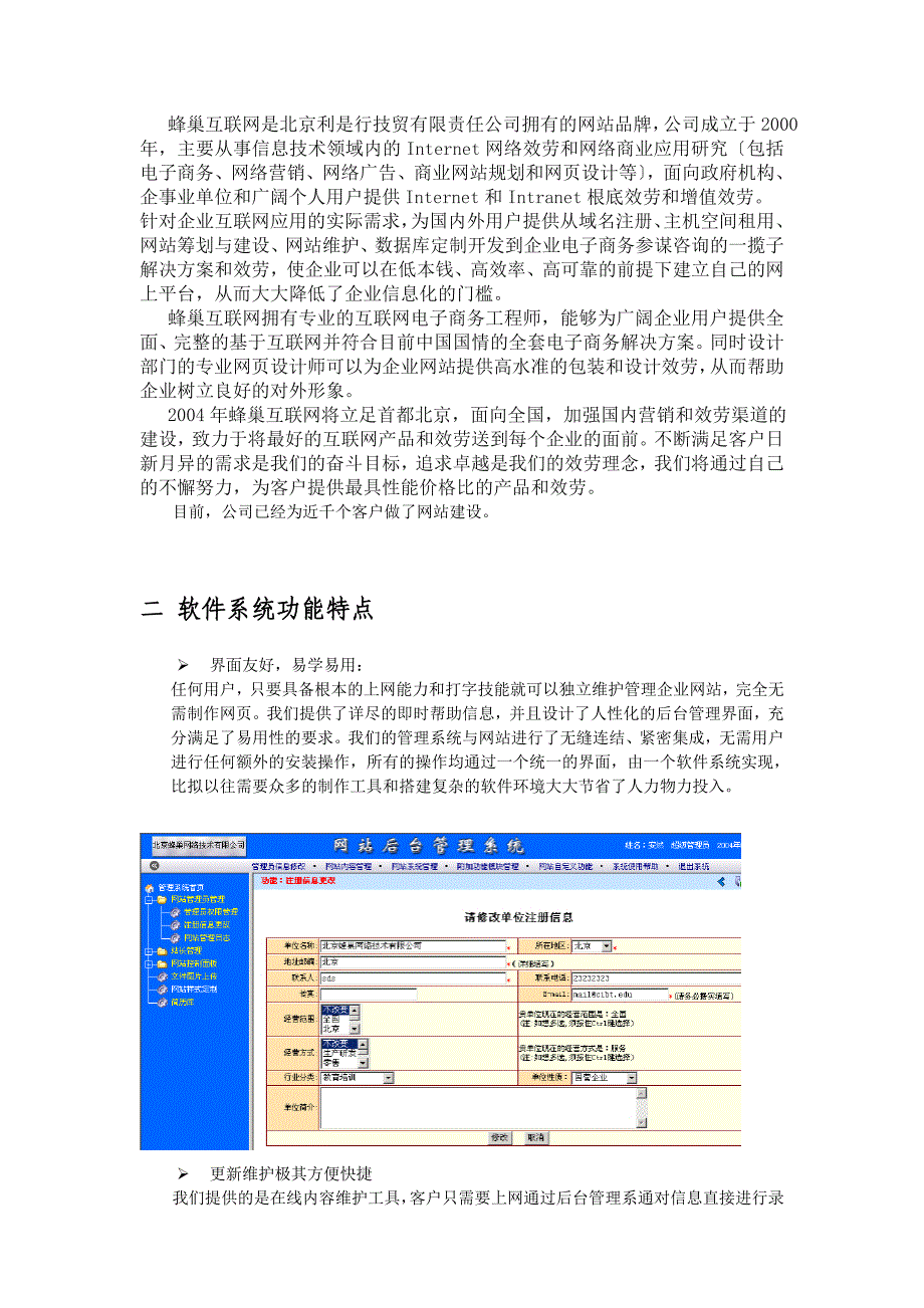 DDI国际网站建设实施方案_第2页