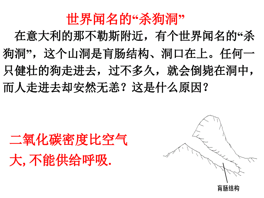 《二氧化碳的制取和性质》教学课件_第2页