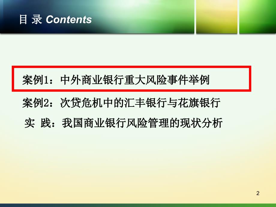 商业银行的风险管理案例与实践讲义_第2页