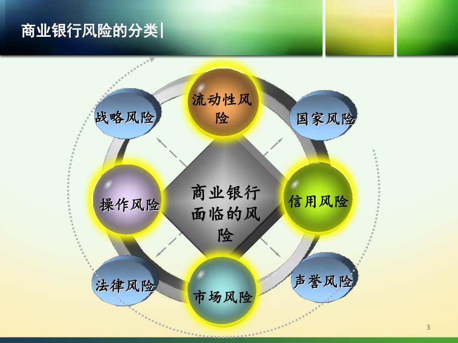 商业银行的风险管理案例与实践讲义_第3页