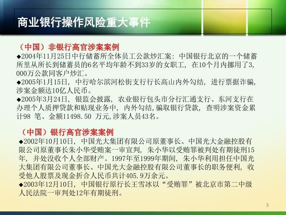 商业银行的风险管理案例与实践讲义_第5页