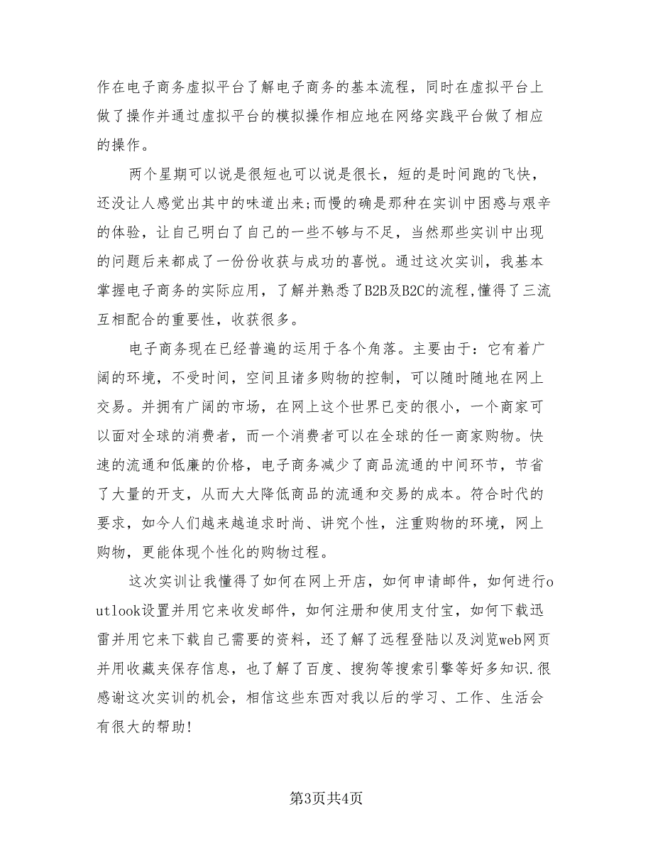 实习生电子商务实训总结报告范文（2篇）.doc_第3页