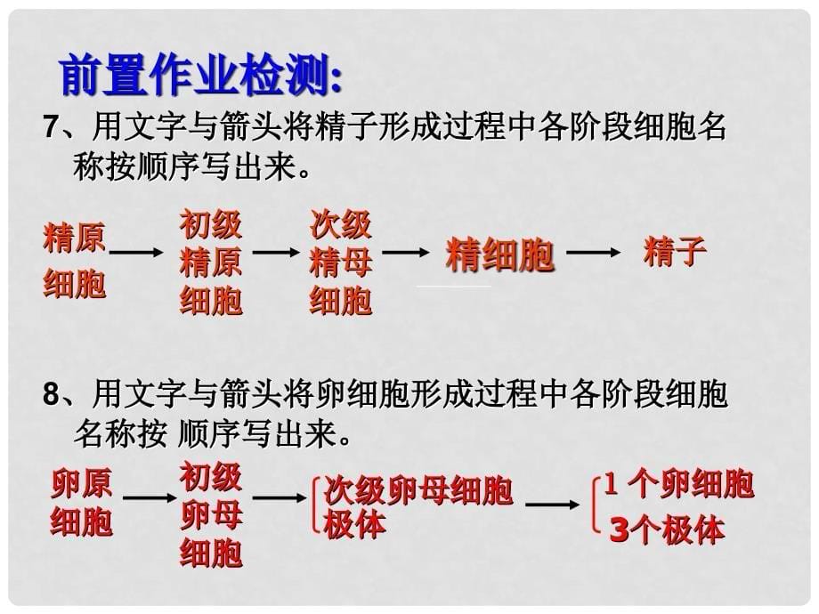 高中生物 第2章 第1节 减数分裂和受精作用 设计一 减数分裂（二）课件 新人教版必修2_第5页