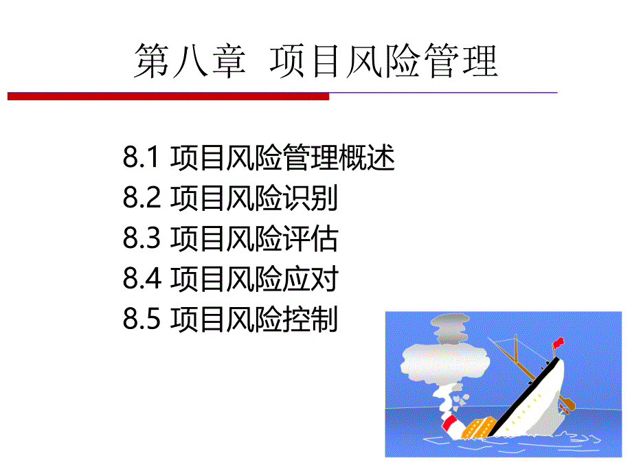 项目风险管理培训教材_第2页