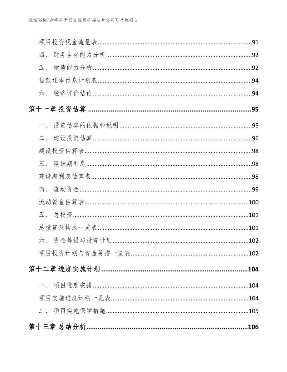 赤峰关于成立视频桥接芯片公司可行性报告_第5页