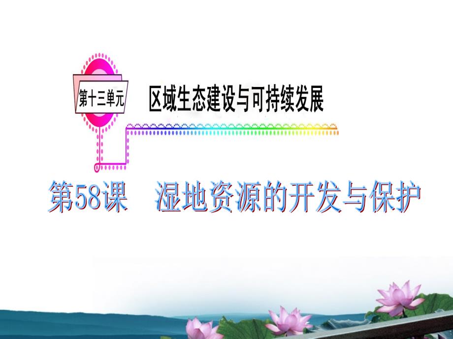 广东省高三地理复习模块4第13单元第58课湿地资源的开发与保护课件_第2页