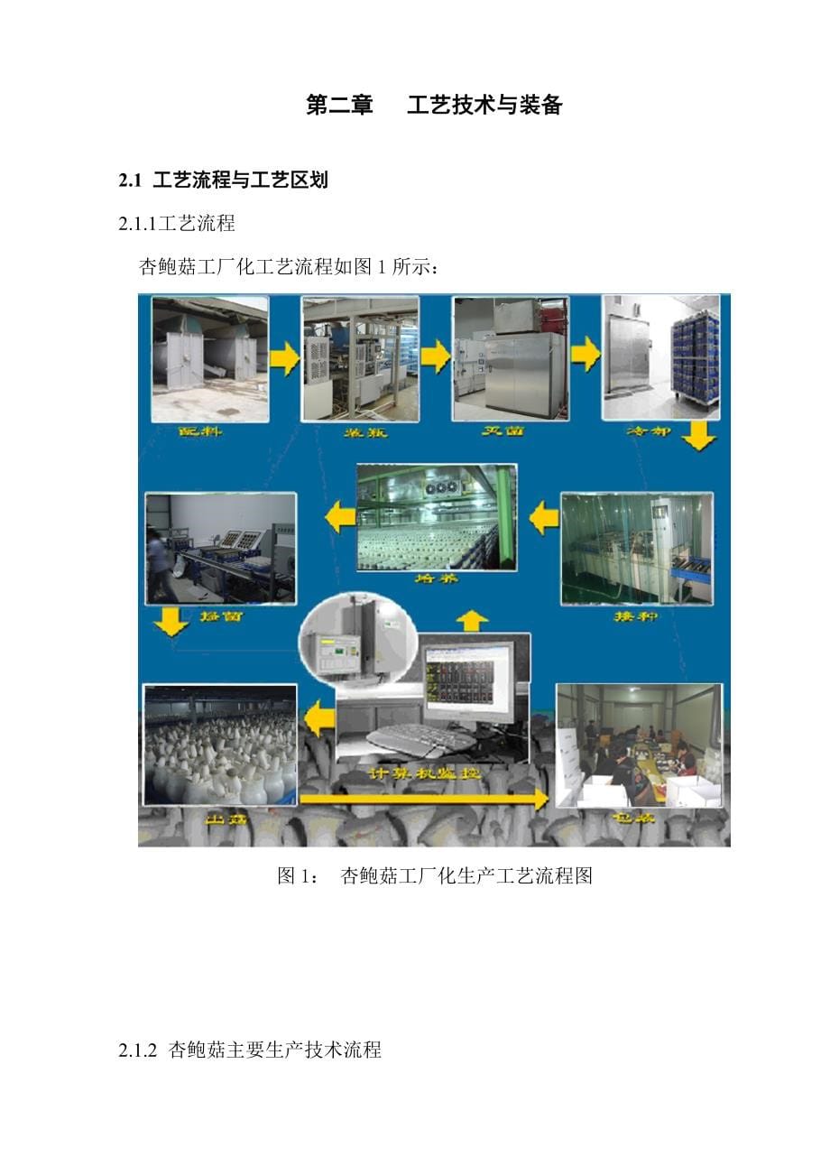 年产5500吨珍稀杏鲍菇生产项目可行性研究论证报告.doc_第5页