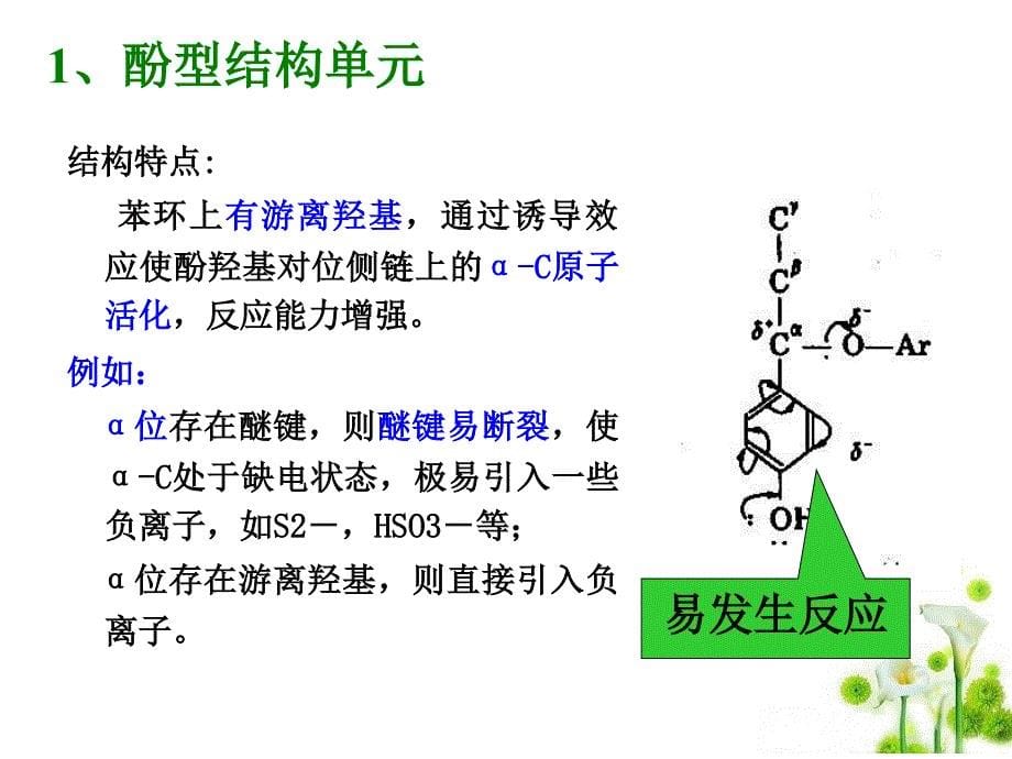 第二章 第四节 木素的化学反应_第5页