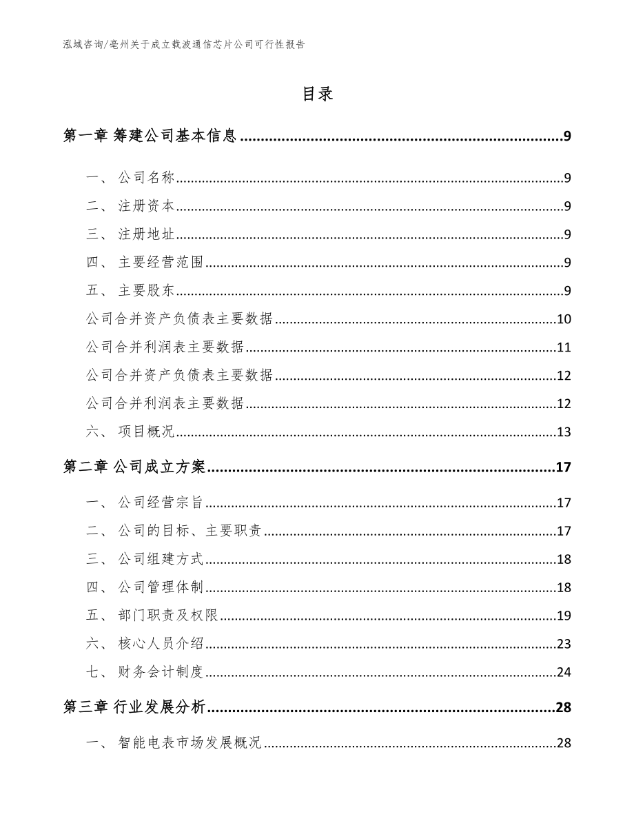 亳州关于成立载波通信芯片公司可行性报告_第2页